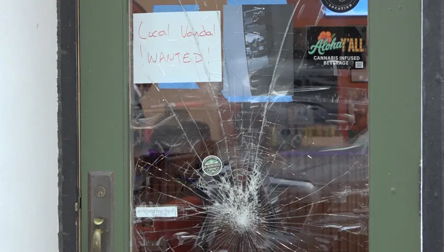 Deer shatters downtown Kearney shop door, sparks social media buzz