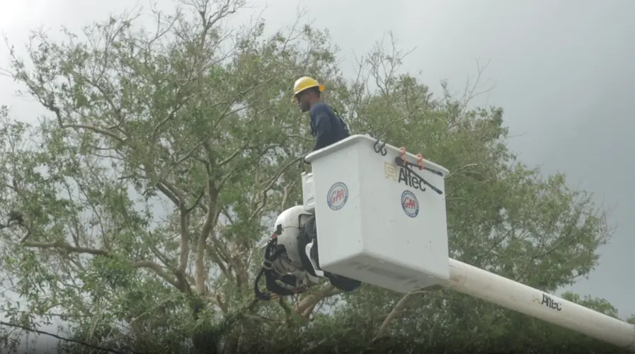 Island power 66% restored 3 days after COR4, 4 days since Bavi