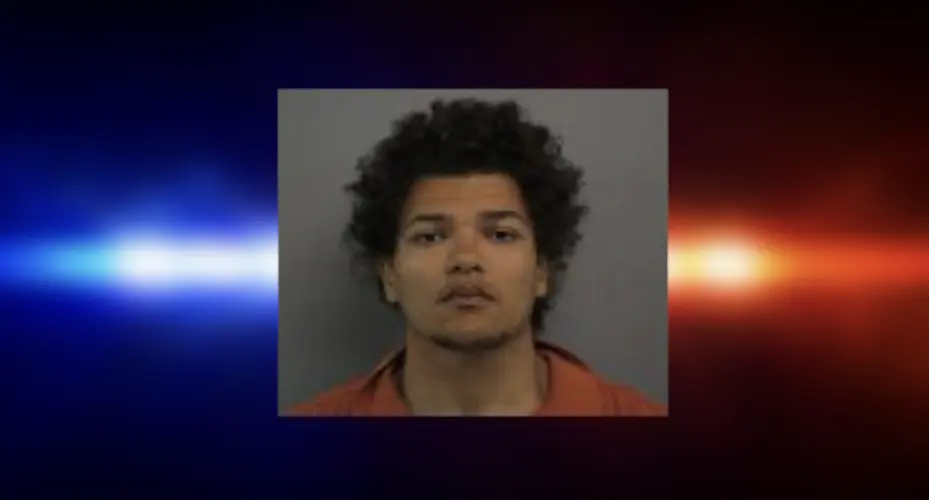 Norfolk man arrested after telling police he assaulted girlfriend
