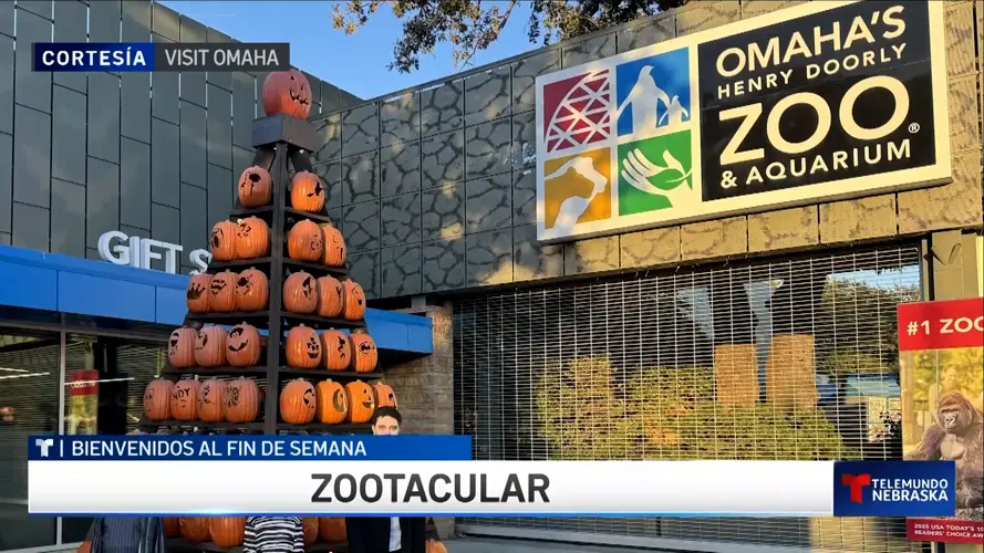 Bienvenidos al fin de semana previo a Halloween