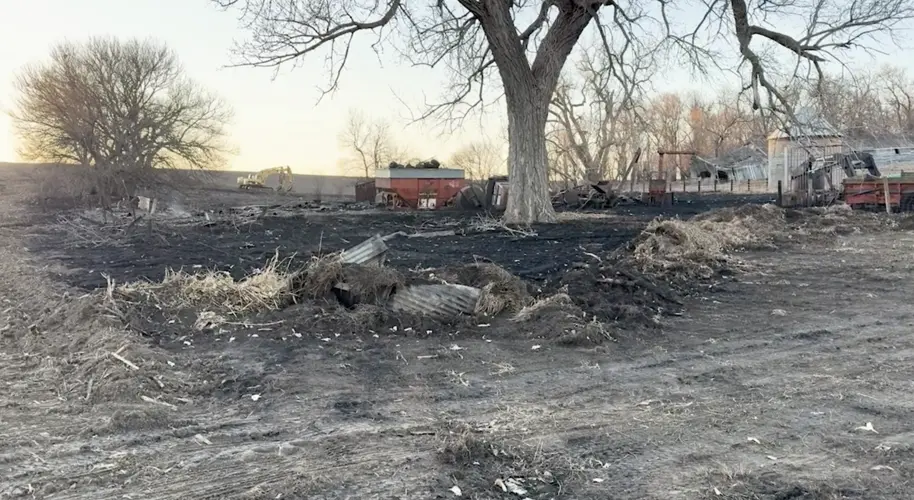 Grass fire erupts northeast of Wayne