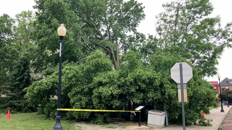 Severe storm causes significant damage in Fairbury; cleanup process underway