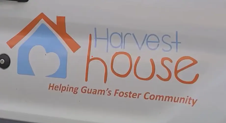 Call for more foster parents