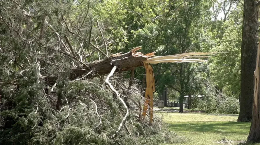 Se aprueba la declaración de desastre federal para ocho condados de Nebraska que se recuperan de las tormentas severas de mayo