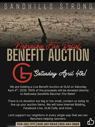 Benefit auction for fire victims today in Gordon