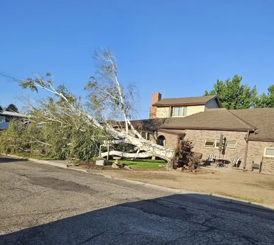 Severe weather leaves damage across Mullen area