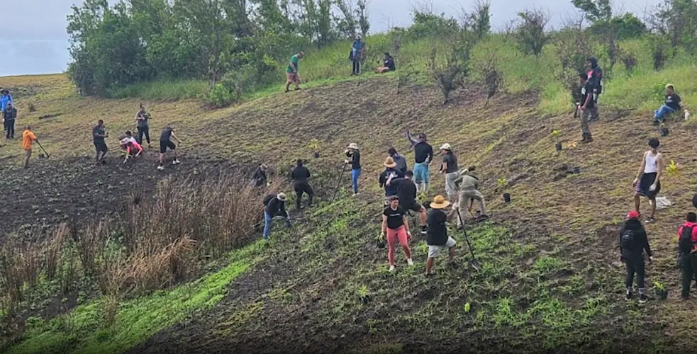 Volunteers can earn money to plant native trees in Malesso this weekend