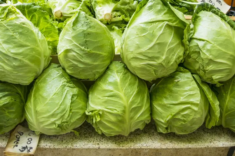 92 Nebraska Cyclospora cases linked to nationwide outbreak