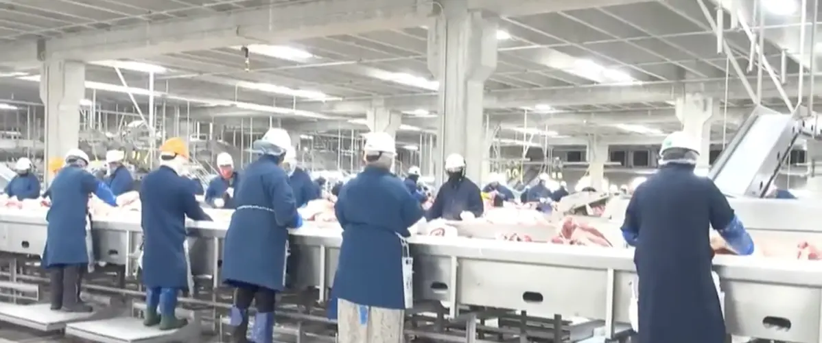 North Platte’s Sustainable Beef reaches a major milestone