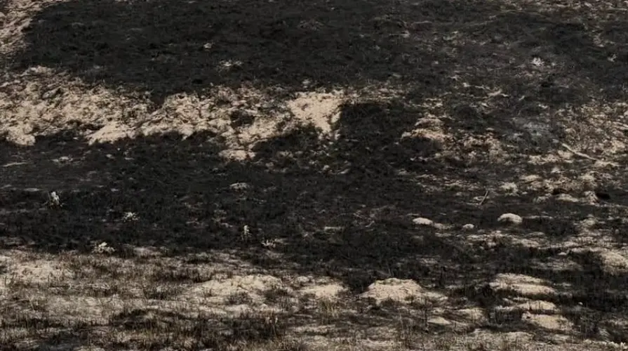 Fire near Chadron sparked by cigarette; officials warn of fire danger