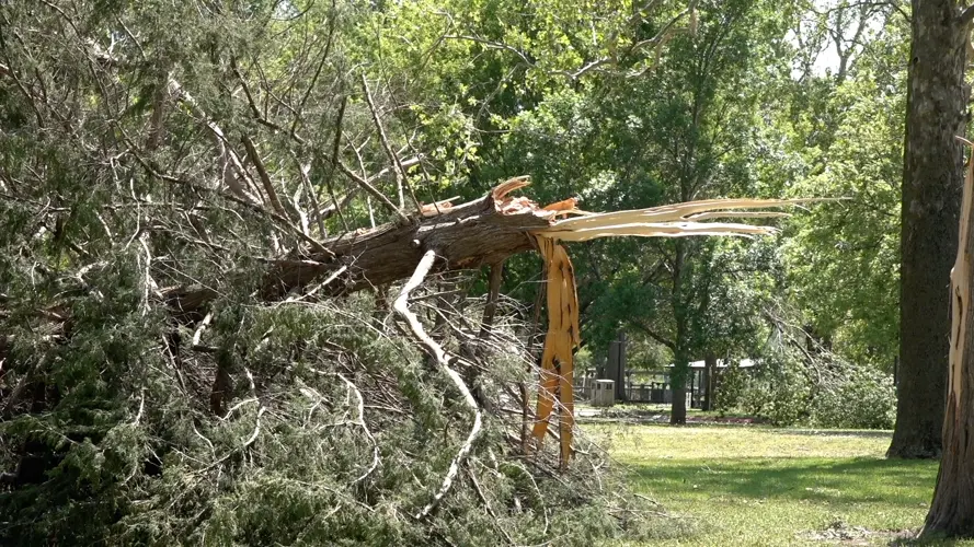 Approved in Nebraska, severe storm emergency declaration now heads to D.C.