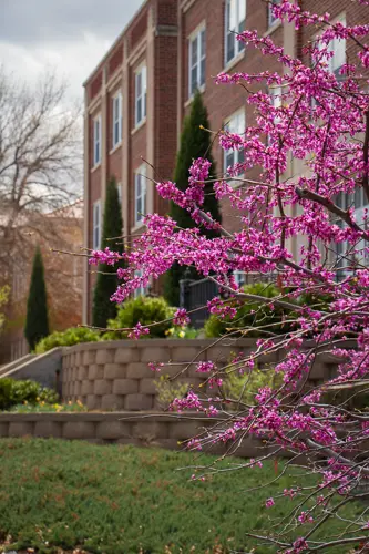 Chadron State College announces spring honors lists