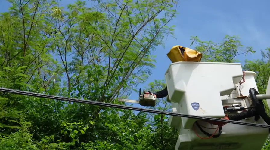 Power restoration continues following passage of Super Typhoon Champi