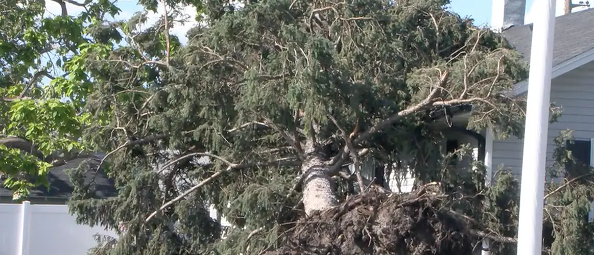 Los residentes de Lexington limpian tras una tormenta que trajo vientos de más de 70 millas por hora