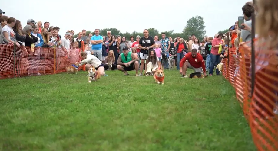 Bark-B-Que brings community together to support Northeast Nebraska animal shelter