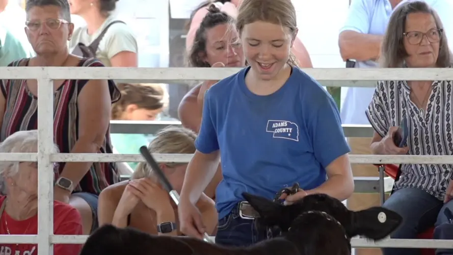 Adams County 4-H Member Earns Grand Champion Honors with Blind Calf