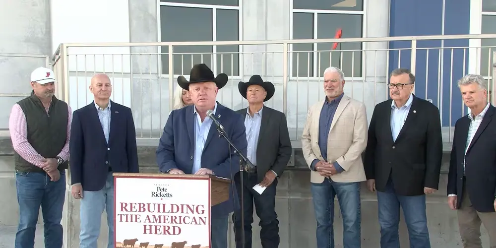 Pete Ricketts presenta plan para recuperar el hato ganadero de Estados Unidos