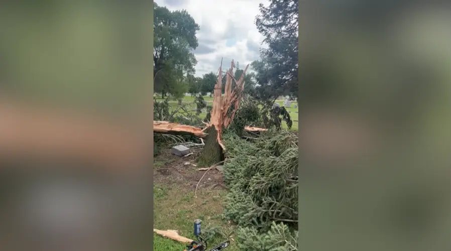 Lightning strike destroys tree at Norfolk cemetery