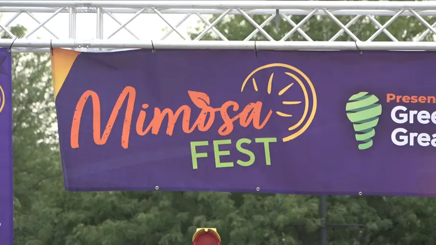 US92's annual Mimosa Fest brings live music and local crowds to downtown Norfolk