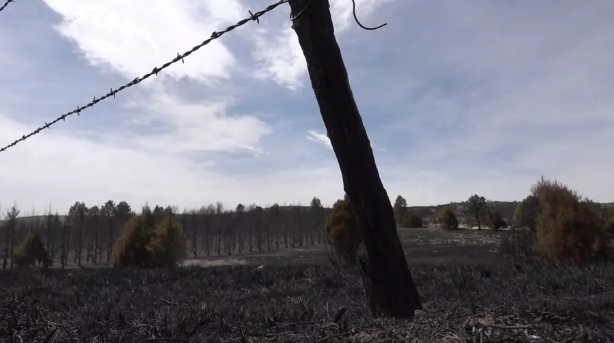 Aid available for Nebraska veterans impacted by wildfires