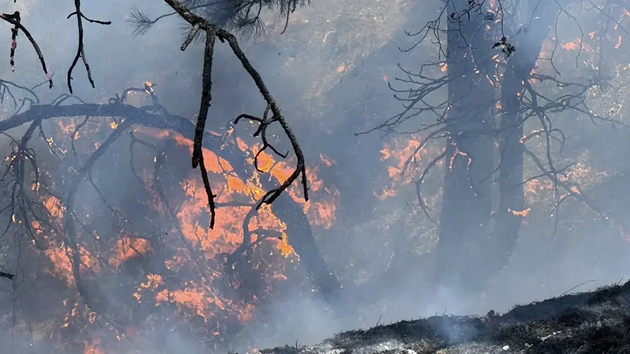 FEMA approves grant to help cover South Fork Fire costs