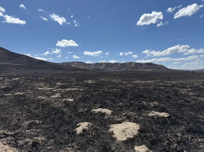 South Fork Fire reaches 90% containment as management transitions to Type 3 team