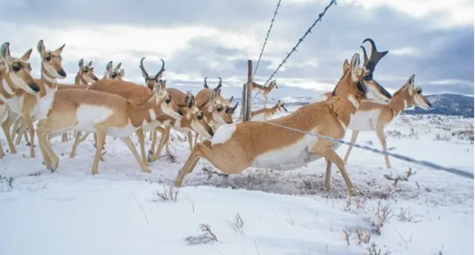 Peru State hosts nature photographer Thursday