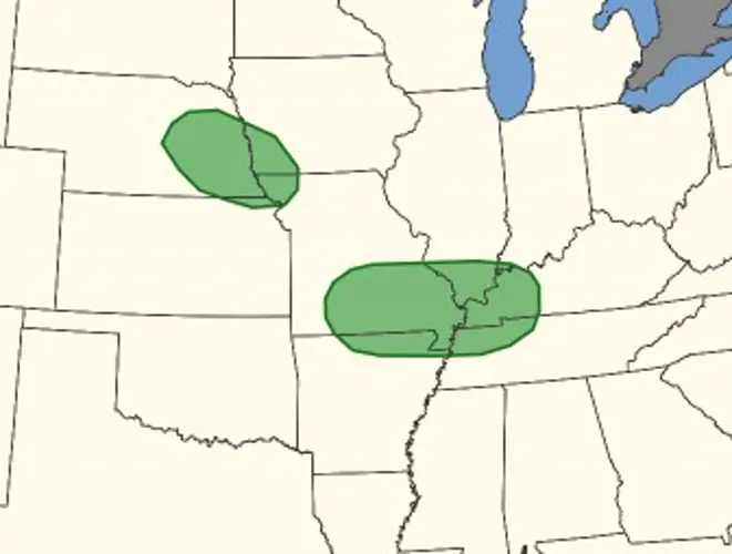 Thunderstorm watch issued for River Country