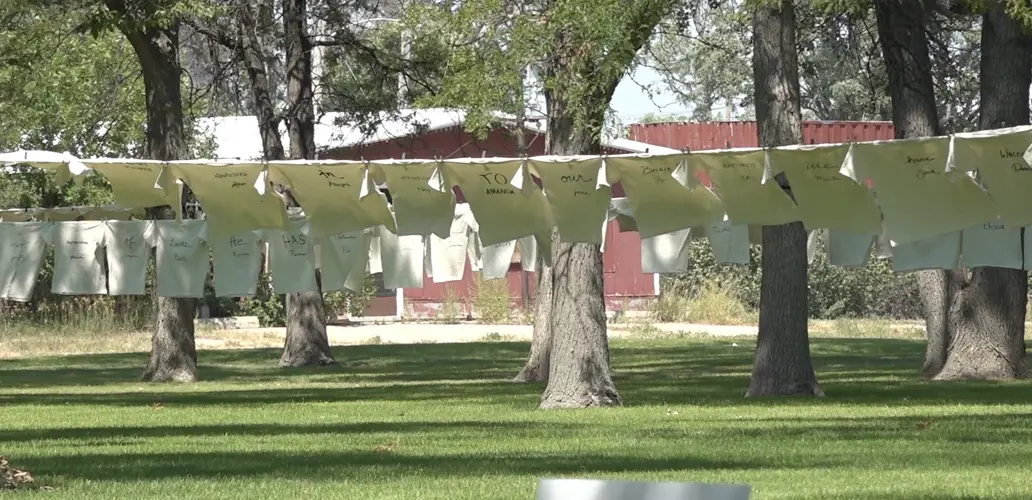 More than 1,300 T-shirts in Rushville park spark reflection on Declaration of Independence
