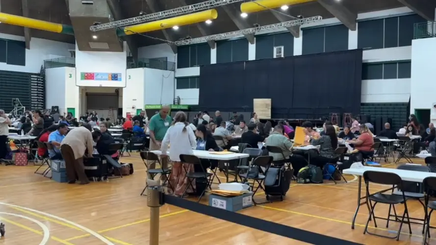 Ballots were counted faster than ever - and not just because of low voter turnout