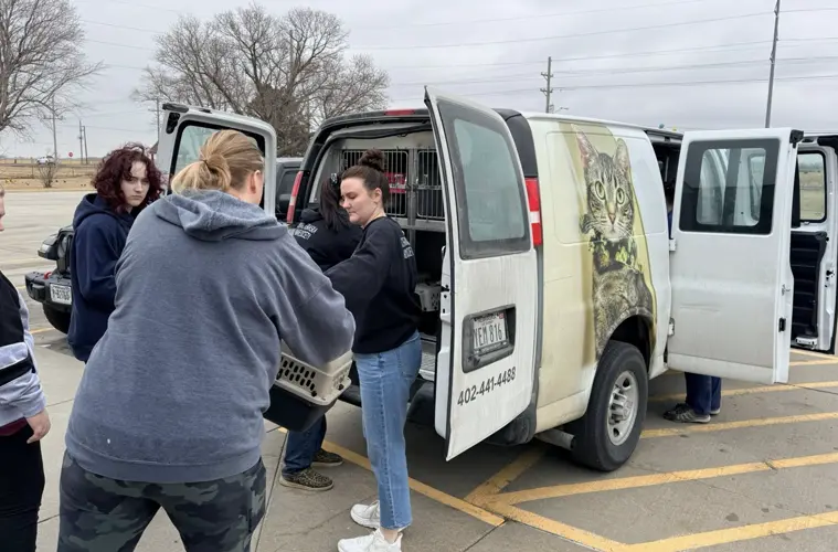Central Nebraska Humane Society helps place 92 cats from Lincoln hoarding case