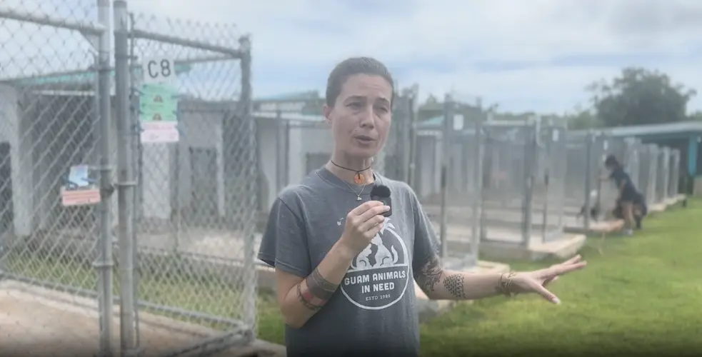 GAIN serves as safe haven for pets ahead of Typhoon Champi