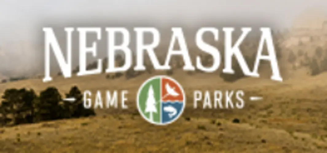 Celebrate Bird Month in Nebraska