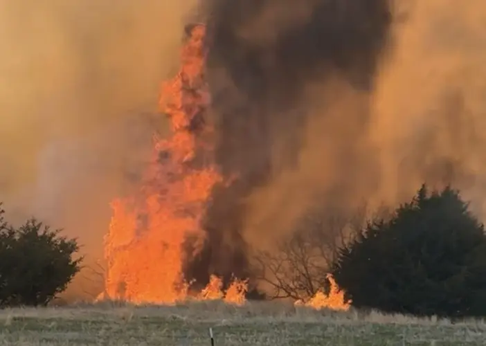 Fire near Halsey burns nearly 36,000 acres, remains 0% contained