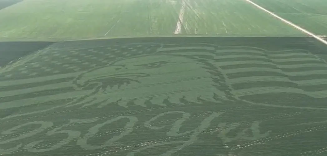 Nebraska farmer creates American flag and eagle design in 70-acre soybean field for 4th of July
