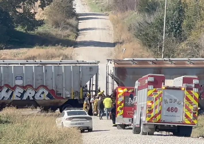 Driver escapes serious injury in collision with train