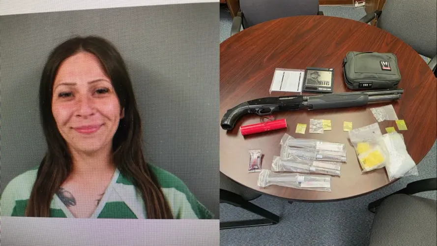 Traffic stop in Tekamah leads to multiple felony charges, police say