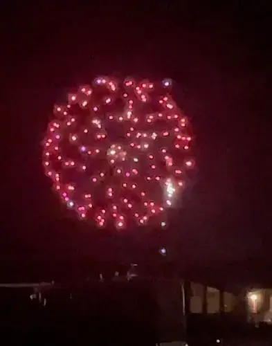 Gordon considers temporary ban on fireworks sales, use