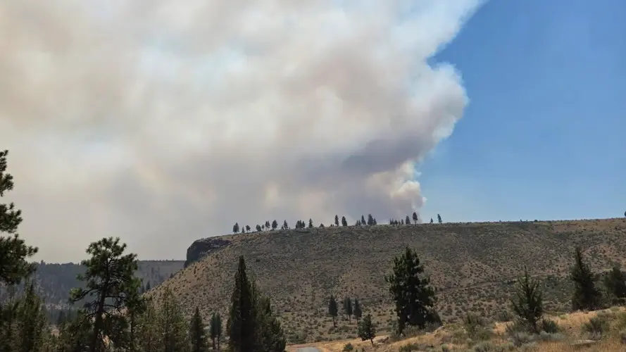 Dawson Public Power District adopta un plan para prevenir incendios forestales
