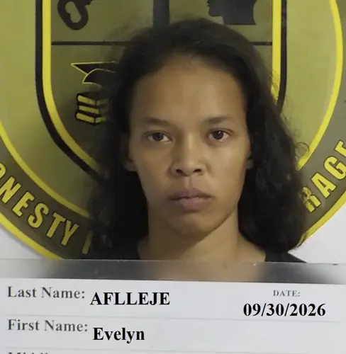 Woman accused of terrorizing male victim with machete