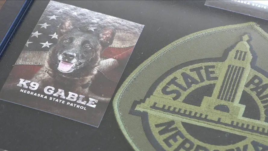 Northeast Nebraska foundation funded K-9 tied to major drug bust