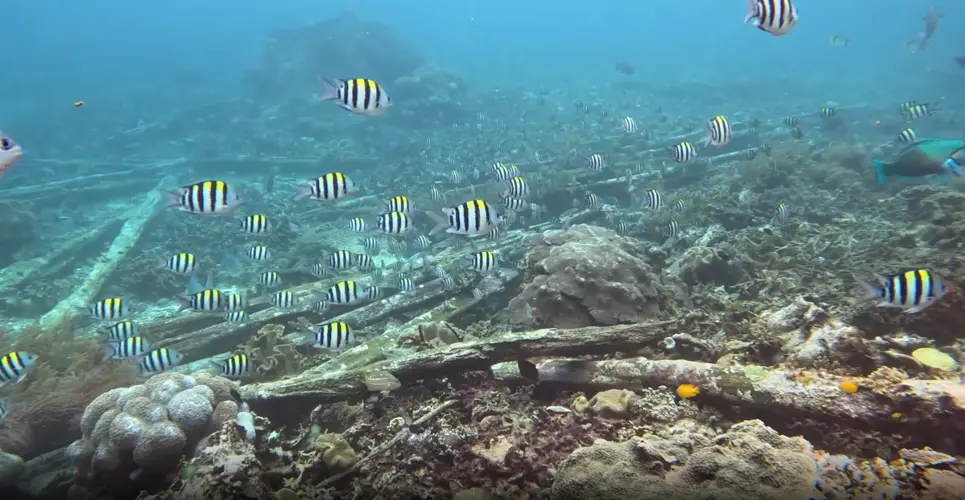 CNMI governor watching deep sea mining lawsuit before taking action