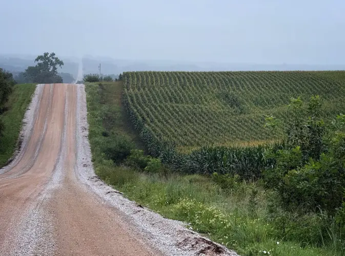 Not even break-even’: Nebraska farmers may confront deep losses amid low crop prices
