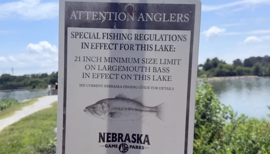 Game and Parks talks bass regulations, as summer fishing heats up