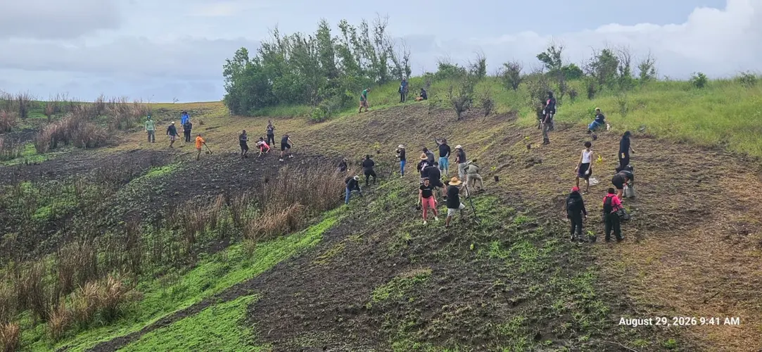 Nearly 100 volunteers plant 2,200 trees in Malesso, more events in coming weeks