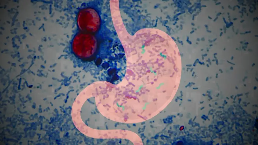 Alerta por parásito intestinal en Nebraska