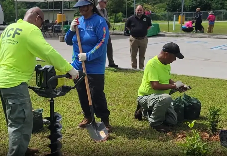 Eligible volunteers can get $20 per hour stipend to help plant native trees