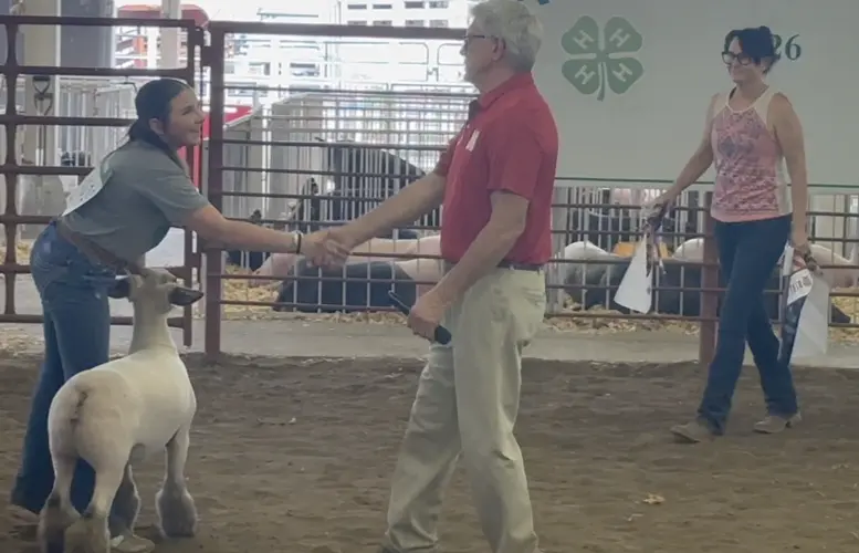 Andrew shows champion lamb