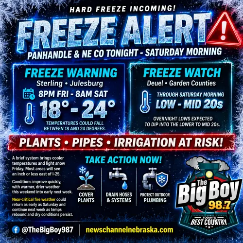 Freeze warning, watch issued as cold snap targets region
