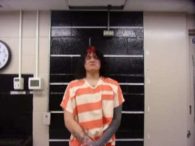 Gordon man tasered after alleged assault on law enforcement officers